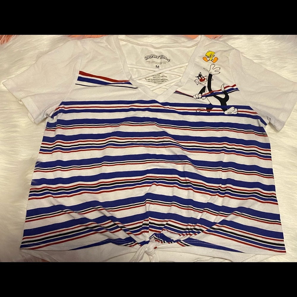 Looney Tunes Crop Top